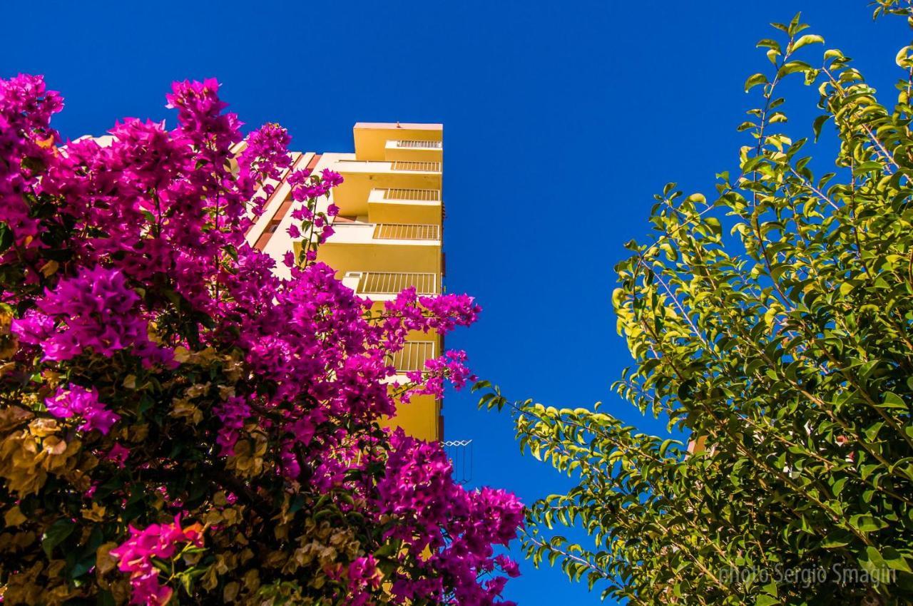 36 Jupiter Apartamento - Vista Al Jardin Y La Piscina - Excelente Wifi 贝纳尔马德纳 外观 照片