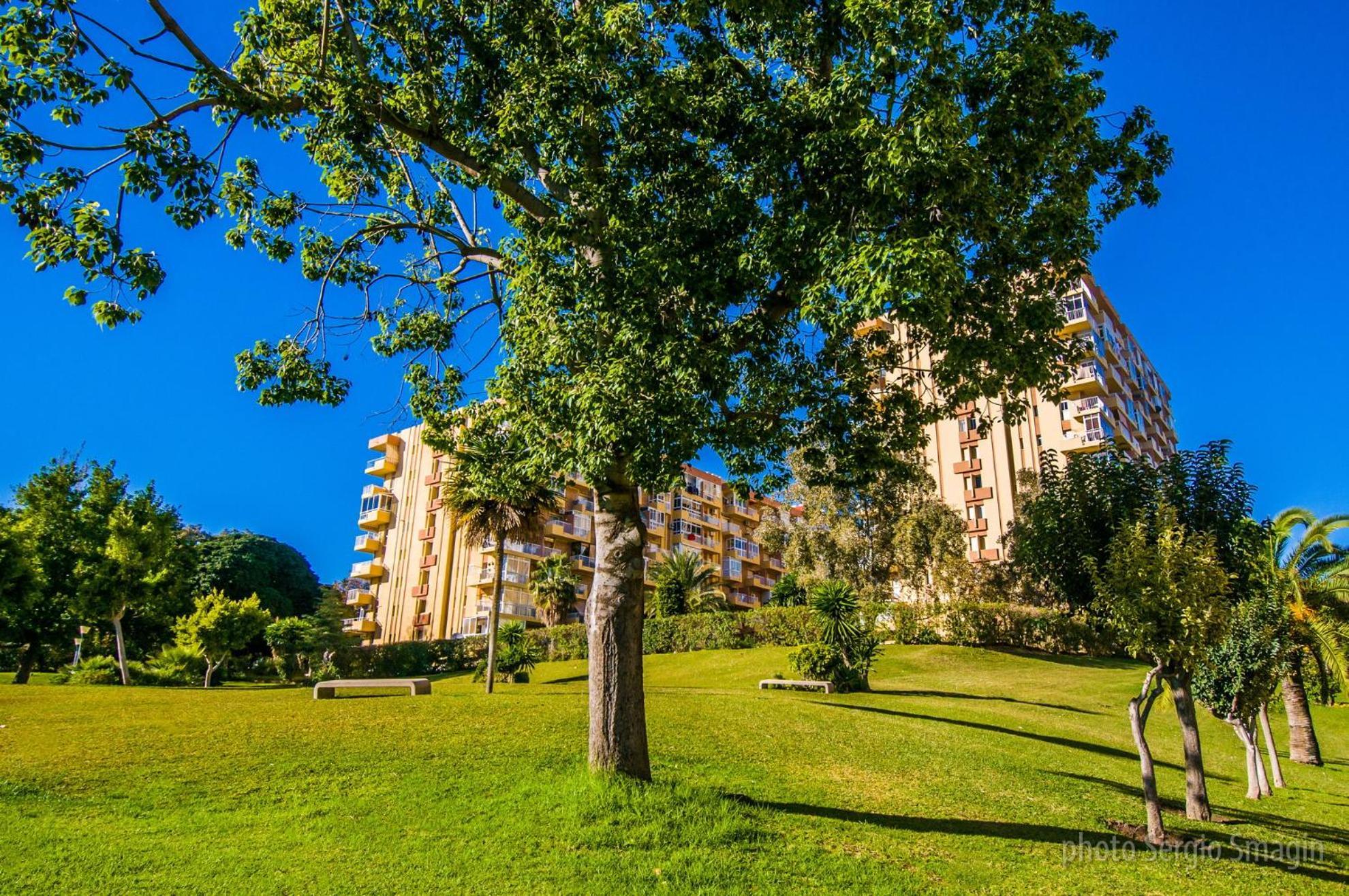 36 Jupiter Apartamento - Vista Al Jardin Y La Piscina - Excelente Wifi 贝纳尔马德纳 外观 照片